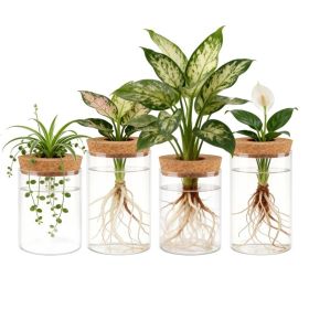 4Pack Glass Propagation Stations For Plants Indoor Glass Planters Hydroponic Plant Vases 2 Large 2 Small For Plant Cuttings Flower Arrangements (Option: 4pcs)