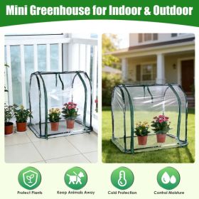 Indoor Outdoor Mini Greenhouse, Pest & Weather Protection Small Greenhouse for Herbs Succulents Dwarf Edibles for Herbs Succulents Dwarf Edibles (Option: AS PIC)