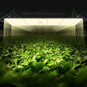 400W LED Grow Light, High Yield Samsung 281B Diodes Growing Lamp For Indoor Plants Seedling Veg And Bloom Greenhouse Growing, Full Spectrum Dimma (Option: Black)