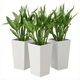 Tall Planters for Outdoor Plants Set of 3, 24 In Taper Planters with Drainage Holes, Rattan Decor Plant Pots, White (Option: White-385x385x835 mm)